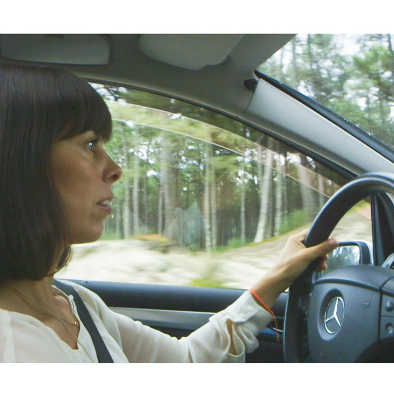 DGA, Vindafvisere, Røgfarvet, 2 stk., passer til Jaecoo J7 (2024-)